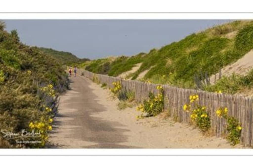 La Baigneuse Maison Avec Jardinet Et Parking Prive, A 200 M Plage Cayeux-sur-Mer Kültér fotó