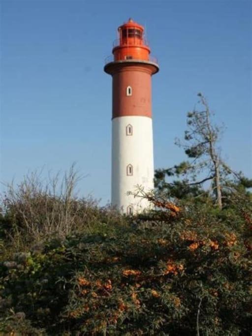 La Baigneuse Maison Avec Jardinet Et Parking Prive, A 200 M Plage Cayeux-sur-Mer Kültér fotó